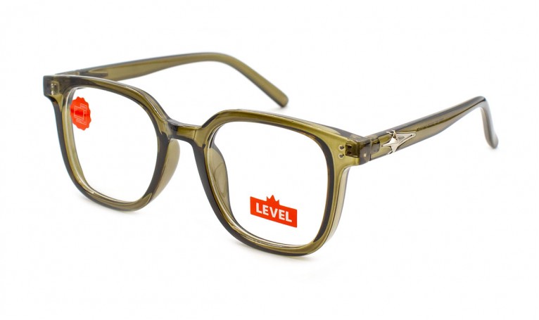 Очки компьютерные Level 667-C8