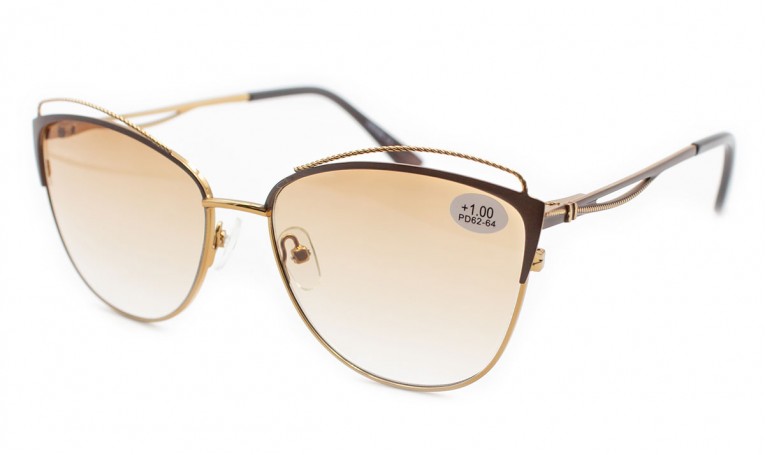 Окуляри Verse 20171-c2 тон