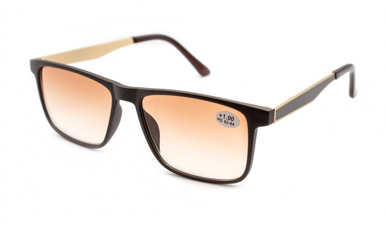 Очки Verse 24020-C2 тон. в пластиковой оправе