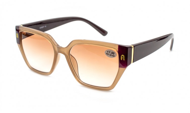 Очки Gvest 24423-C2 тон. в пластиковой оправе