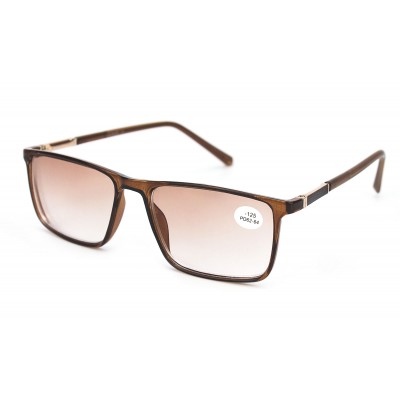 Окуляри Verse 19141S-C2 тон.