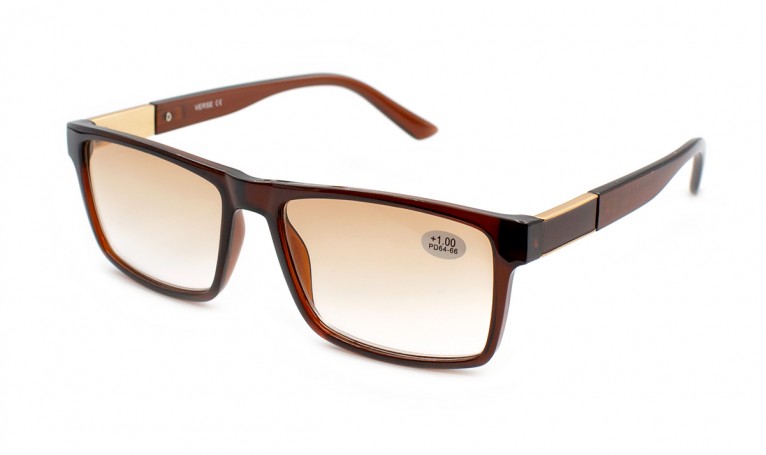 Очки Verse 24022-C2 тон. в пластиковой оправе