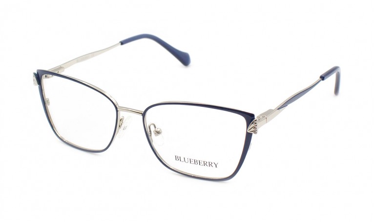 Оправа металлическая Blueberry 3973-C5