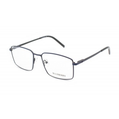 Оправа металлическая Blueberry 4200-C4
