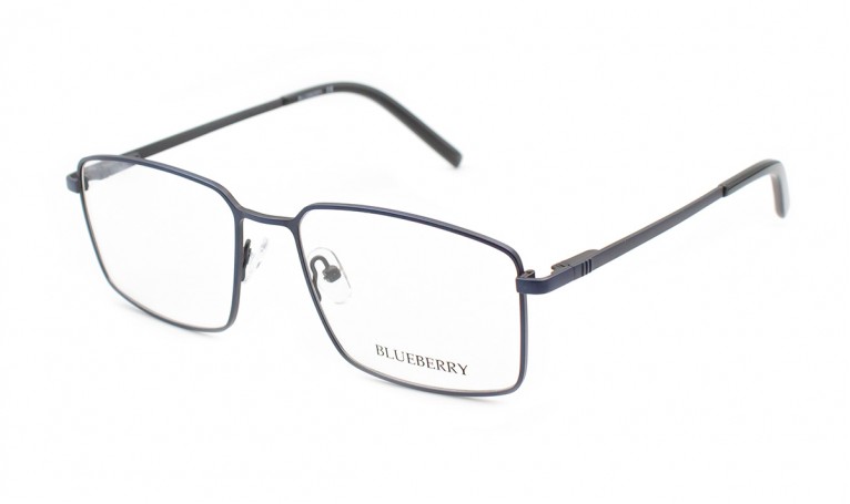 Оправа металлическая Blueberry 4200-C4