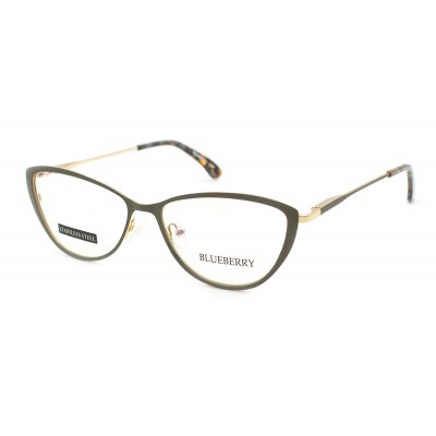 Оправа металлическая Blueberry F313-C4