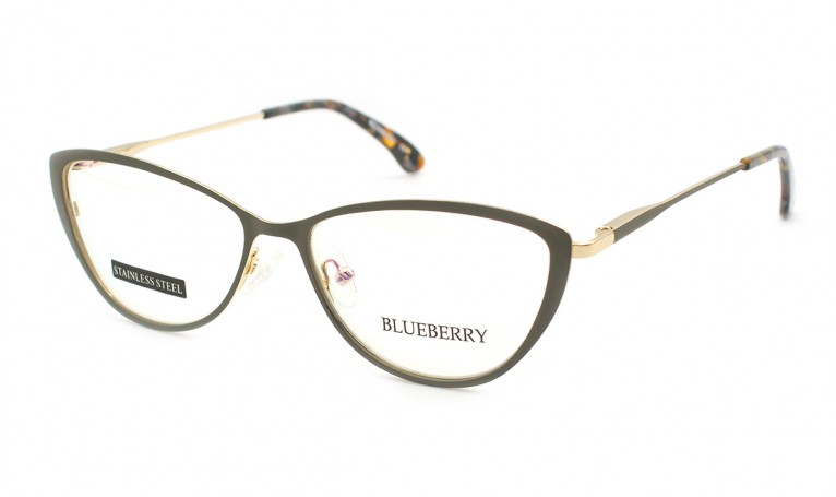 Оправа металлическая Blueberry F313-C4