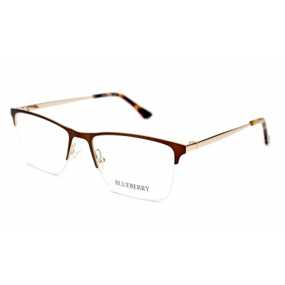 Оправа металлическая Blueberry TL3672-C2