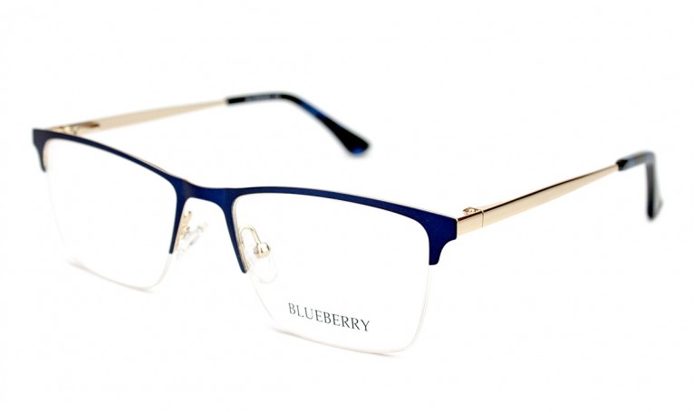 Оправа металлическая Blueberry TL3672-C4