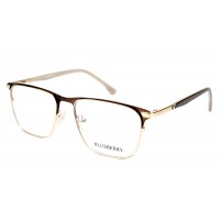 Оправа металева Blueberry XC61036-C4