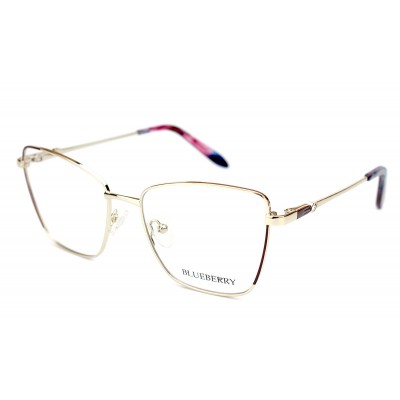 Оправа металічна Blueberry XC62330-C2