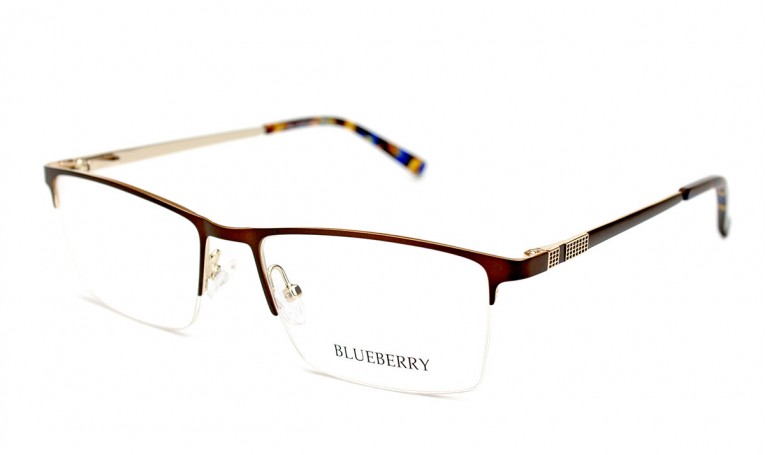 Оправа металлическая Blueberry TL3667-C2