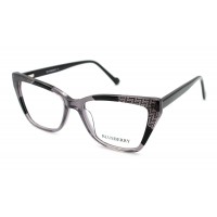 Оправа пластиковая Blueberry 6419A-C1