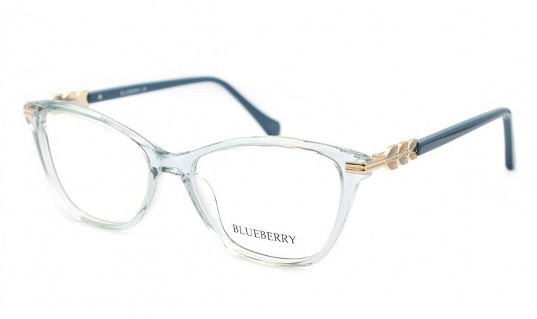 Оправа пластикова Blueberry 6449A-C4