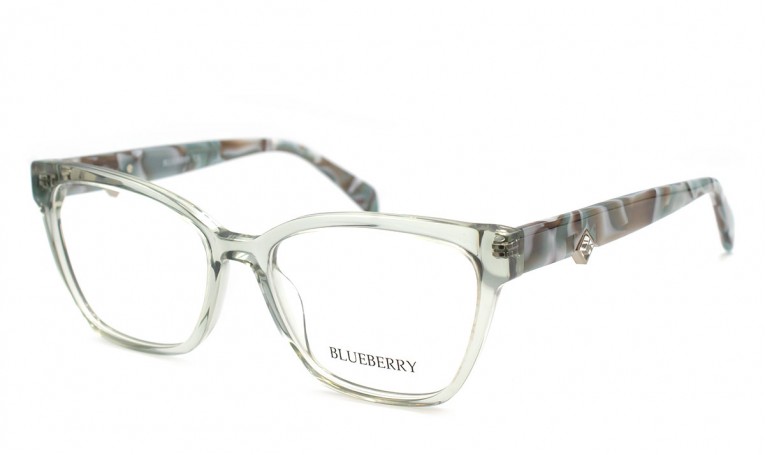 Оправа пластикова 6648A-C5