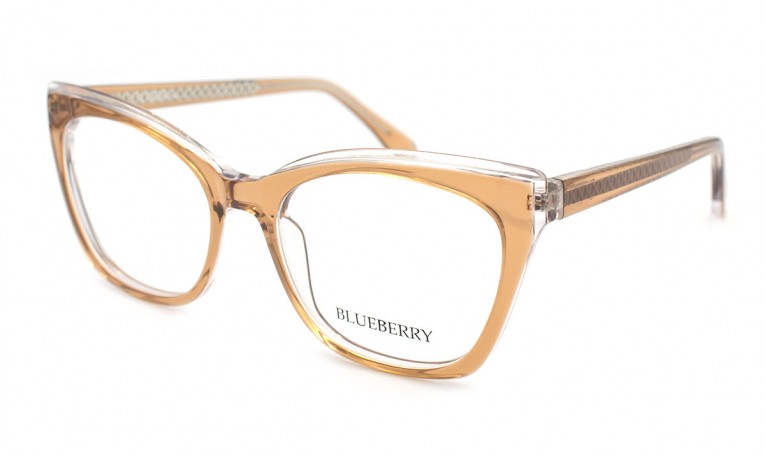 Оправа пластиковая Blueberry 8021-C8