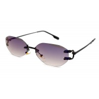 Солнцезащитные очки Elegance 5304-c6 Солнцезащитные очки Elegance 5304-c6