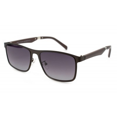 Солнцезащитные очки Pilot 24703-C2