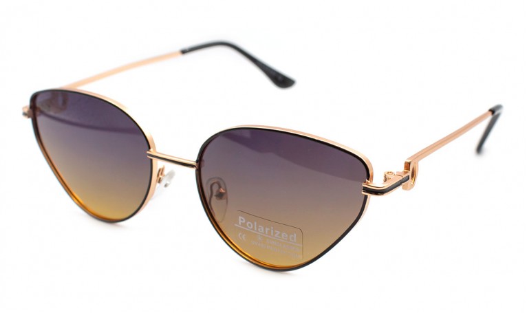Сонцезахисні окуляри Polarized PZ08809-C5